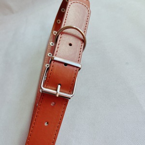 Casual Aluminum <span class=keywords><strong>Dog</strong></span> <span class=keywords><strong>Collars</strong></span> Anti-Bite Chain Belts Fabricant-Cordes de rétrotraction fournies Laisses de baseball pour animaux de compagnie-Vente en gros - Product Image 5