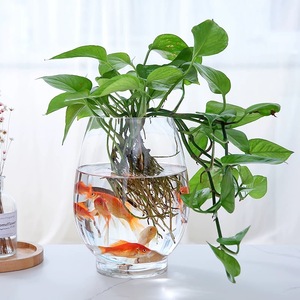 Verre transparent à prix d'usine pour votre décoration de bureau mini vase <span class=keywords><strong>rond</strong></span> pour <span class=keywords><strong>bocal</strong></span> à <span class=keywords><strong>poisson</strong></span> <span class=keywords><strong>rouge</strong></span> - Product Image 3