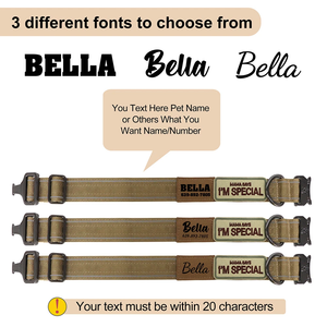 Gran oferta, Collar de perro bordado personalizado con rayas reflectantes, nombre personalizado, etiqueta de teléfono ajustable para perros medianos y grandes - Product Image 3