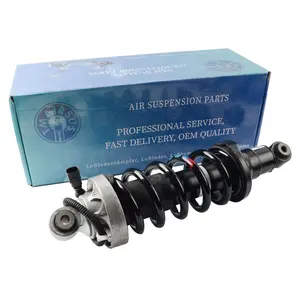 Supplier Air Suspension Shock Absorber For Aud-i R8 Rear Left Right With ADS Adaptive Damping System