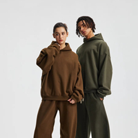 Automne Hiver Nouveau 430G 100% Coton Pull à capuche thermique pour homme Couleur unie Surdimensionné Sweat-shirt chaud Vente en gros Personnalisé