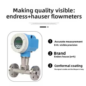 Medidor de Flujo Vortex E+H Endress Hauser para Aplicaciones de Gas, Vapor, Líquidos y Aguas Residuales, Fabricado en China Continental - Product Image 2