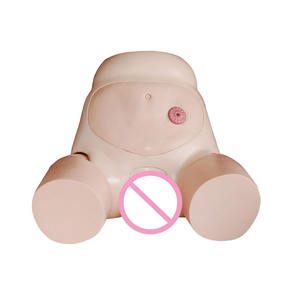 चिकित्सा सिमुलेशन यूरिनरी कैथीटर प्रशिक्षण मॉडल पुरुष मूत्रमार्ग - Product Image 1