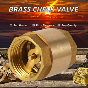 Yüksek Basınçlı 1/2-2 İnç Geri Dönüşsüz Vana Su Pompası Dişli Çekvalf Pirinç Dikey Salınımlı Yaylı Pirinç Çekvalf - Product Image 3