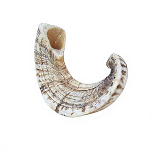Shofar en corne de bélier naturelle, véritable, fait main, personnalisé AZ ENTERPRISES – Instrument en corne animale de haute qualité pour usages religieux et culturels - Product Image 4