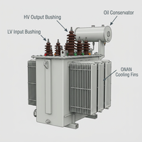 Transformador Sumergido en Aceite ONAN de 220v a 10kv, 11kv y de 600v a 33kv para Distribución de Energía en Exteriores