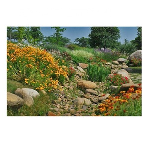 Design per Paesaggistica da Giardino, Decorazione Naturale con Grandi Rocce e Sassi - Product Image 5
