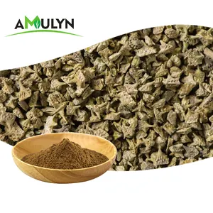 Supply Tribulus Terrestris Extract Powder 10:1 Tribulus Terres Extract