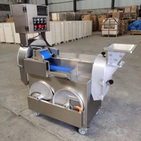 Industriële automatische snijmachine voor fruit- en groentechips van hoge kwaliteit, met beste prijs