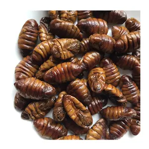 Экологичный свежий Шелковый червь Pupae, пищевые насекомые, сухой слиток, белок, корм для домашних животных