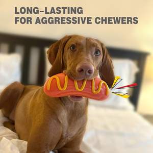 Tốt Nhất Người Bán Vui Tpr Của Pet Chew Đồ Chơi Mọc Răng Gậy <span class=keywords><strong>Dog</strong></span> Vocal Hot <span class=keywords><strong>Dog</strong></span> Đào Tạo Đạo Cụ Làm Bằng Cao Su Tpr Nhựa Gog Chew Đồ Chơi - Product Image 2