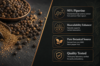 Extrait de Poivre Noir en Poudre de Pipérine, Bioamplificateur Naturel, Complément Nutritionnel, Matière Première, Végétalien, Sans OGM, Qualité Alimentaire