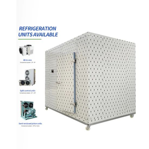Mini chambre froide mobile portable préfabriquée avec unité pour une installation facile - Product Image 1
