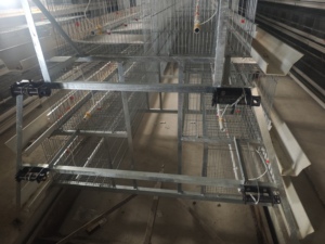 Jaula para Pollos Tipo H de Alta Resistencia, Acero Galvanizado por Inmersión en Caliente, Larga Duración, Resistente a la Corrosión - Product Image 2