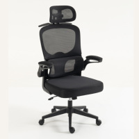 Échantillon Gratuit - Chaise de Bureau en Maille Haut de Gamme, Réglable, Durable, Ergonomique avec Support Lombaire, Pivotante à 360°, Roulettes Fluides, pour Adultes au Travail