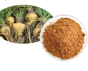 Hot Sell Black Maca Powder Enthancement Male Powder Maca Root Extract for Health Food