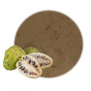 미국 창고 노니 과일 분말 공장 공급 자연 노니 분말 하이 퀄리티 수용성 유기 무료 샘플 원료 - Product Image 5