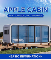 Maison mobile modulaire préfabriquée en acier extensible de 40 pieds, type Apple Cabin, avec panneaux solaires, climatiseur, ensemble clé en main, idéale pour les vacances.
