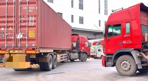 Fright spedizioniere agente di spedizione per il sud africa <span class=keywords><strong>Singapore</strong></span> Malaysia Thailand nuova energia intelligente dropship fornitore ddp via mare - Product Image 6