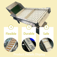 Petit convoyeur à bande avec déflecteur, élévateur à bande modulaire en plastique pour l'industrie alimentaire, élévateur à godets incliné