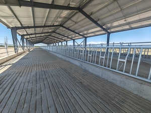 Attrezzatura per la gestione del allevamento bovino Dongchen: Bloccacollo per bovini e Bloccacapo per bovini, modello Bull Slash Pillory, zincato e durevole - Product Image 3