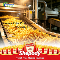 Ligne de production entièrement automatique de frites fraîches Shepody, coupe ondulée, fabrication de chips de pommes de terre, acier inoxydable 304, 250 kg/h