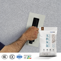 Peinture artistique en stuc inorganique résistant aux intempéries, ignifuge, durable, poudre sèche, texture pierre naturelle, finition mate