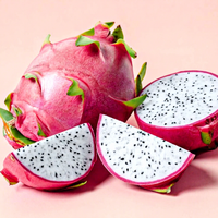 100% Natuurlijke Verse Dragon Fruit Wit & Rood Aanpasbare Maten Graad 1 500-800g HACCP Gecertificeerd Vietnam Viet Delta//NICKY