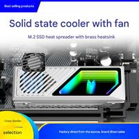 Computadora de escritorio M2 Enfriador de unidad de estado sólido 2280 Disipador de calor M.2 NVME Conducción de calor de latón Chaqueta de disco duro de gran volumen de aire