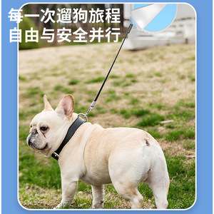 Pet <b>Dog</b> Retractable <b>Leash</b> 5m For Small Medium Large <b>Dogs</b> With Safety Lock And Comfort Grip Handle - Product Image 3