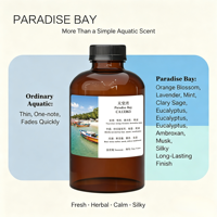 CA13363 Paradise Bay Hotel Scents Crearoma Huiles parfumées industrielles les plus vendues, parfum frais, diffuseur d'arômes, marketing olfactif