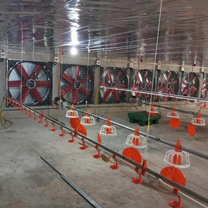 Pièces d'équipement d'élevage de poulets de chair : <span class=keywords><strong>Tuyau</strong></span> d'eau rond et carré en <span class=keywords><strong>PVC</strong></span>, Abreuvoir à tétine en acier, Coupe-goutte, <span class=keywords><strong>Mangeoire</strong></span> pour poussins - Product Image 2