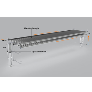 <strong>Hydroponics</strong> Growing <strong>Farm</strong> <strong>Container</strong> 20'/40' ft for Microgreen/Lettuce/Medical Plant