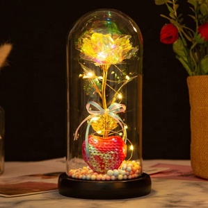 Amore <span class=keywords><strong>romantico</strong></span> all'ingrosso rosa incantata in cupola di vetro con luce a LED anniversario san valentino miglior <span class=keywords><strong>regalo</strong></span> <span class=keywords><strong>per</strong></span> <span class=keywords><strong>lei</strong></span> - Product Image 5