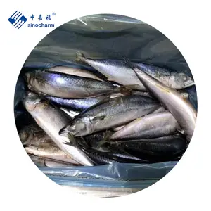 Замороженная скумбрия тихоокеанские морепродукты скумбрия рыба