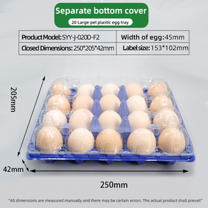 Hot Sale Disposable 30-Cell Plastic Medium <strong>Egg</strong> Tray Clamshell PET <strong>Material</strong> Blister Easy Bottom Cover Separation Food Grade - Product Image 6