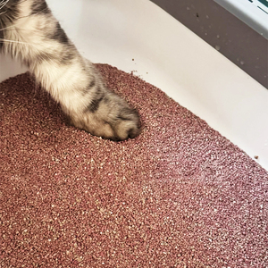 Litière pour chat en bentonite rose, agglomération rapide, faible poussière, contrôle des odeurs, haute absorption, forte agglomération, vente en gros OEM - Product Image 6