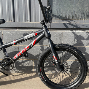 Fábrica de China al por mayor Popular modelo de freno de disco Bisicleta 20 pulgadas ciclo Big Boy niños bicicleta <span class=keywords><strong>Bmx</strong></span> bicicleta - Product Image 3