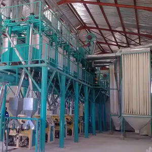 Moulin à la farine de maïs nigérian, équipement de traitement de haute qualité/automatique 50-80t/24H pour la farine de maïs, à bas prix et de haute qualité