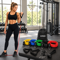Ensemble de bandes de résistance empilables, 5 pièces, bandes tubulaires en TPE avec poignées pour la musculation à domicile, hommes, femmes, vente en gros