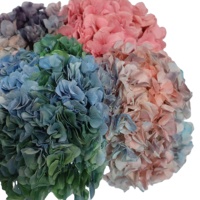 Bunga Kering Hydrangea Bigleaf Asli Awet Tahan Lama Grosir Pabrik 35-40cm Persegi Hari Ibu Tahun Baru