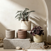 Pot en béton texturé style Wabi Sabi, pot de fleurs en ciment multicolores pour plantes vertes de bureau, personnalisable