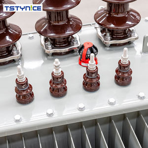 Transformateurs de puissance immergés dans l'huile pour extérieur, 2500 kVA, entrée 10 kV, sortie 480 V, trois phases, fréquence 50/60 Hz, pour moyenne et haute tension 35 kV, 400 V, 380 V/440 V - Product Image 4