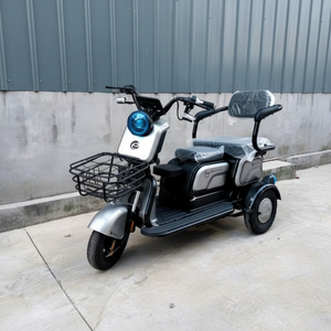 Triciclo Eléctrico de Carga y Recreación de una Sola Velocidad, Tipo Rickshaw, con Carrocería Abierta, 600W, para Personas Mayores, Precio de Fábrica - Product Image 1