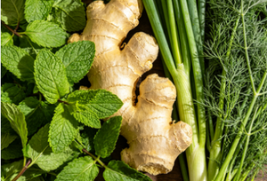 Customized 3g * 20 Bags Fresh Daily Healthy &amp; Wellness Tea <strong>Mint</strong>/<strong>Ginger</strong>/Fennel Herbal Mixture in Bulk Box - Product Image 4