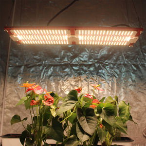 Prodotti Locali Spedizione Gratuita Figolite 240 Watt Lampada LED per Coltivazione 0 Tariffe 0 IVA Driver MeanWell Originale LM301H Quantum Board - Product Image 6