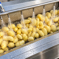 Commerciële wortelgewaswasser, borstel en schiller voor het reinigen van aardappel, gember, wortel, yam en taro.