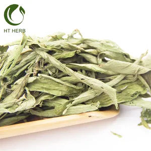 High Quantity herbal tea Wholesale Dried stevia leaves China medical