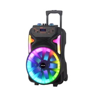 Altavoz Boombox para fiesta privada, altavoz BT portátil de ritmo festivo, sistema de fiesta multifuncional de 12 pulgadas, batería de plástico con