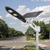 Qualité 3000k chaud 3000 w 3000 watts alimenté extérieur plomb panneau solaire lampe carte contrôleur Led lampadaire solaire pour chemin